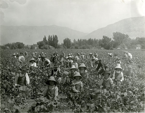 Children working on a field