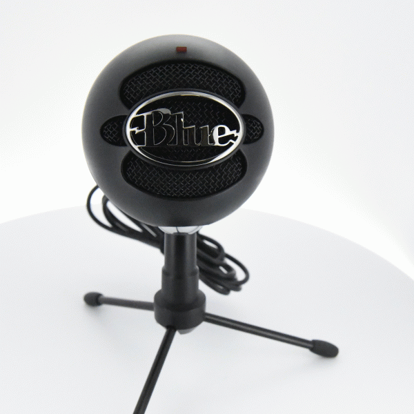 Computer microphone