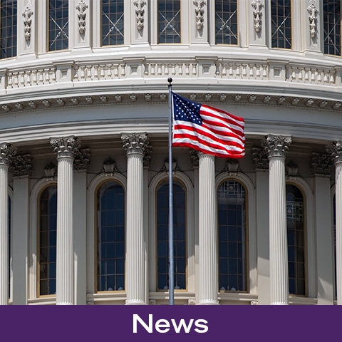 Click for more information Image of an american flag in front of the capitol